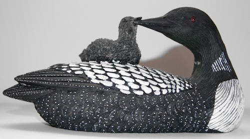 Large Loon with Baby