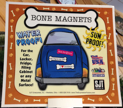 Bone Magnets